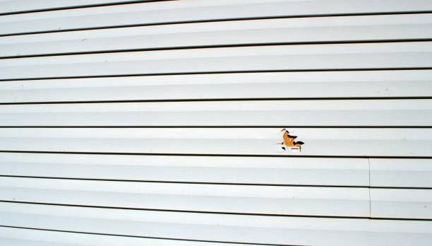 Best Dumpster Rental Services  in Honolulu, HI